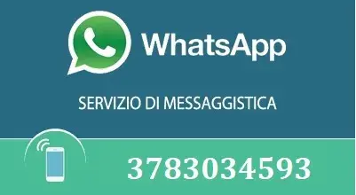 Attivazione servizio Whatsapp - Progetto “OzzanoApp”