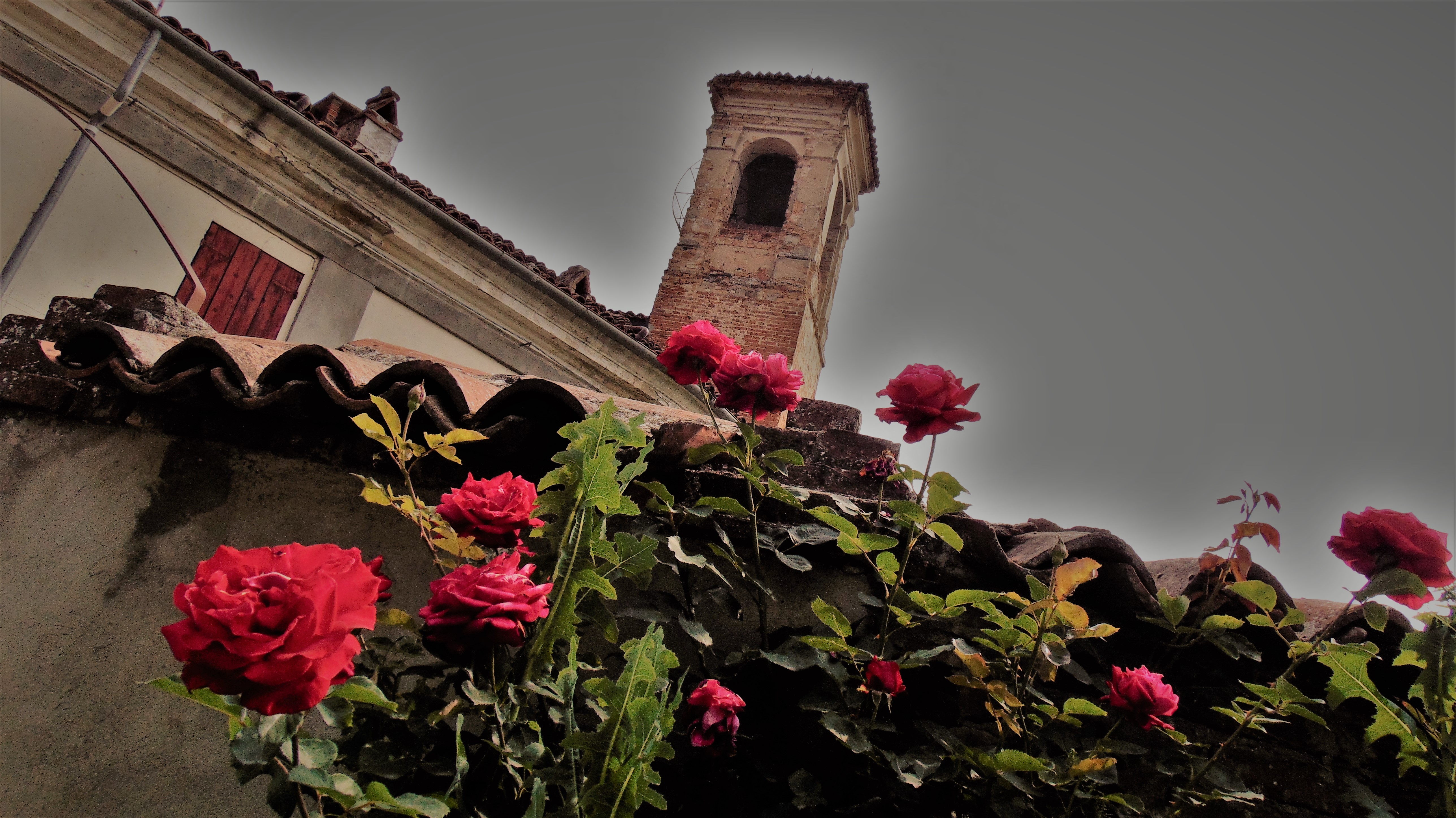 titolo immagine